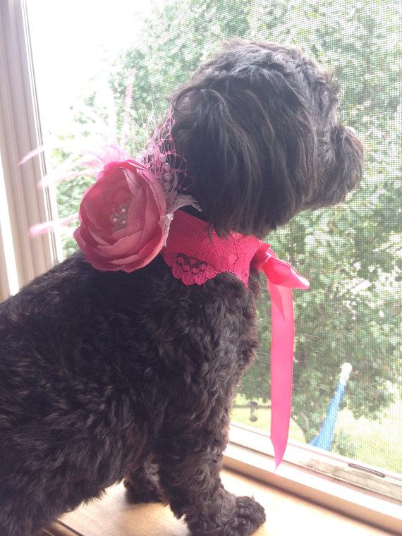زفاف - DOG FLOWER COLLAR -  Hot Pink flower pearls feathers,Pet Wedding,Ties on, Pet Flower, Dog Wedding, Pet Corsage, Dog flower , Dog Bow