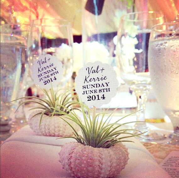 Wedding - air plant party favors // qty. 50 // by robincharlotte