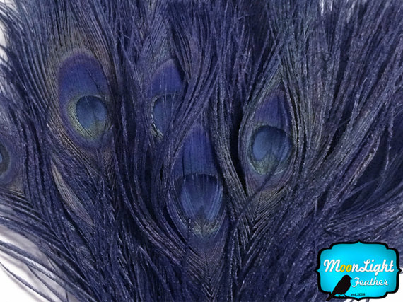 زفاف - Peacock Feathers, 5 Pieces - NAVY Bleached and Dyed long Peacock Tail Feathers : 260