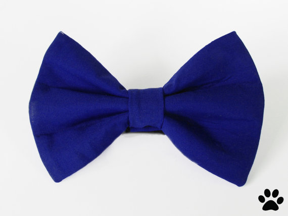 Mariage - Cobalt blue bow tie - cat bow tie, dog bow tie, collar attachment