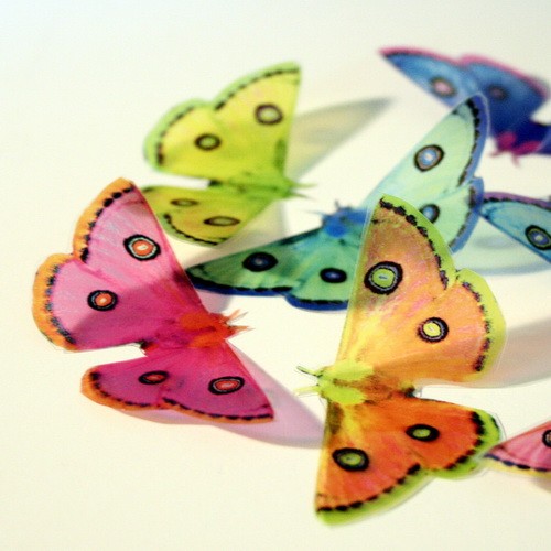 Свадьба - B092 - 3D Butterflies for Weddings, Scrapbooking and More