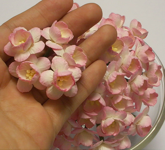 Mariage - 30 Pcs. (Size 1") Handmade Mulberry Paper Craft flower, Paper flower, Decoration, Wedding, Cherry Blossoms, Soft Pink 2 Tone.