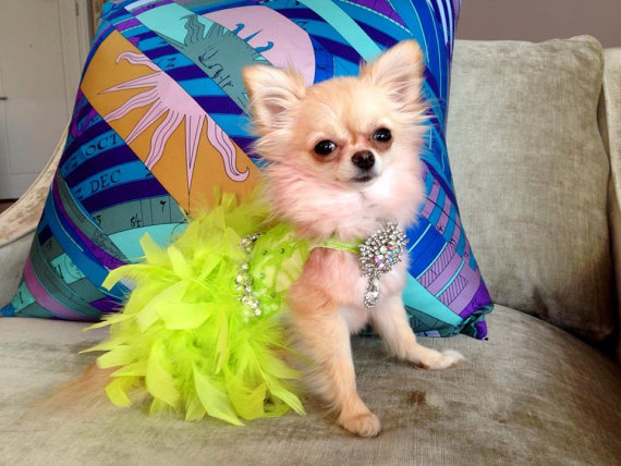 زفاف - Lime Green (Neon) Lace Feather Harness Dog Dress with Crystals