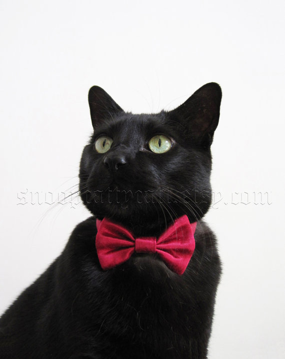 Wedding - Cat Bow Tie - Satin - More Colors