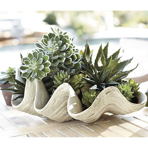 Mariage - Giant Clam Shell