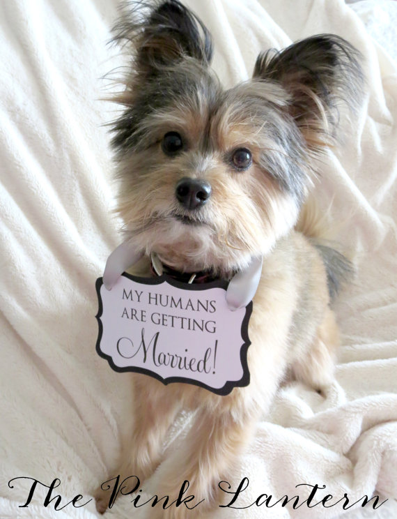Mariage - My Humans Are Getting Married! - Wedding / Engagement Sign for Your Dog - Available in 2 sizes and Custom Colors