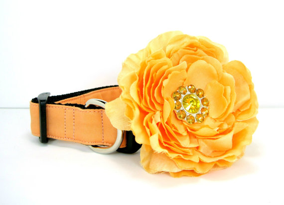Wedding - Wedding dog collar-Peach  Dog Collar with flower set  (Mini,X-Small,Small,Medium ,Large or X-Large Size)- Adjustable
