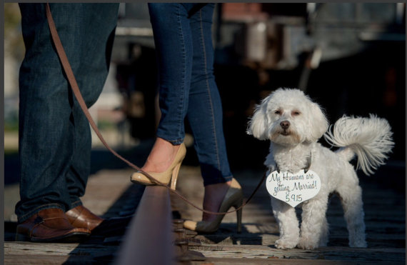 زفاف - My Humans are getting Married Save the Date Sign Heart Signs Photography Props Enagement Pictures Wedding Small Dog Ring Bearer Flower Girl