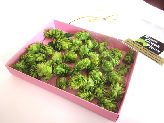 Wedding - D I Y - Boutonniere Hops for Weddings - 40 Dried Hops Flowers with Natural stems - Purchase Direct from the Farm