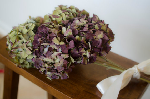 Wedding - Large bunch of naturally dried burgundy, burgundy hydrangeas, dried hydrangeasburgundy decor, burgundy wedding, wedding decor