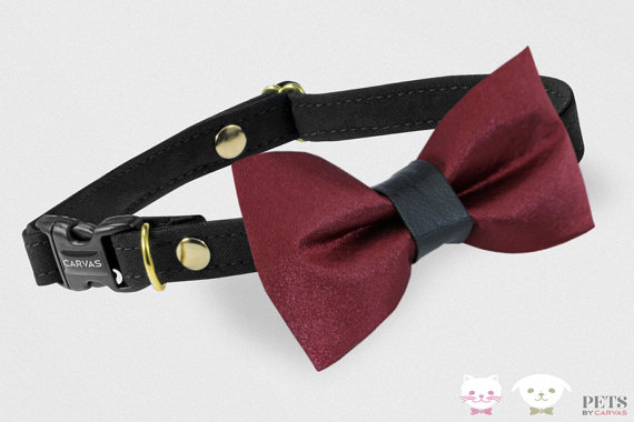 زفاف - Cat Bow Tie Collar - Burgundy