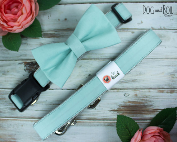 Hochzeit - Mint Seafoam Wedding Dog Collar with Optional Leash, Removable Bow Tie, or Flower 