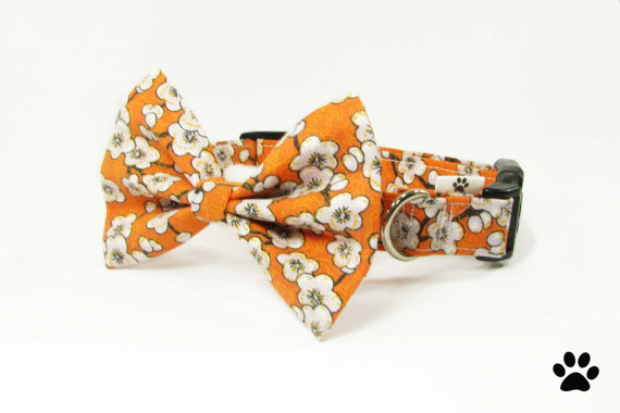 Mariage - Orange flowers - cat and dog bow tie collar set
