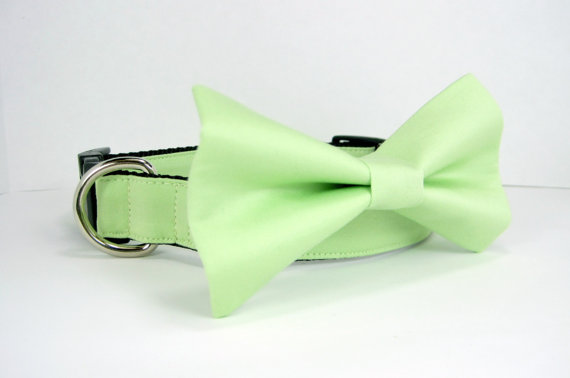 زفاف - Wedding dog collar- Light Green Dog Collars with bow tie set  (Mini,X-Small,Small,Medium ,Large or X-Large Size)- Adjustable
