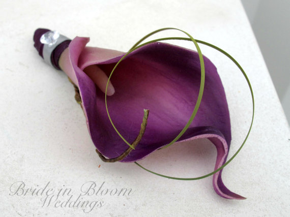Hochzeit - Groomsmen boutonniere Plum purple gray calla lily Wedding boutonnieres