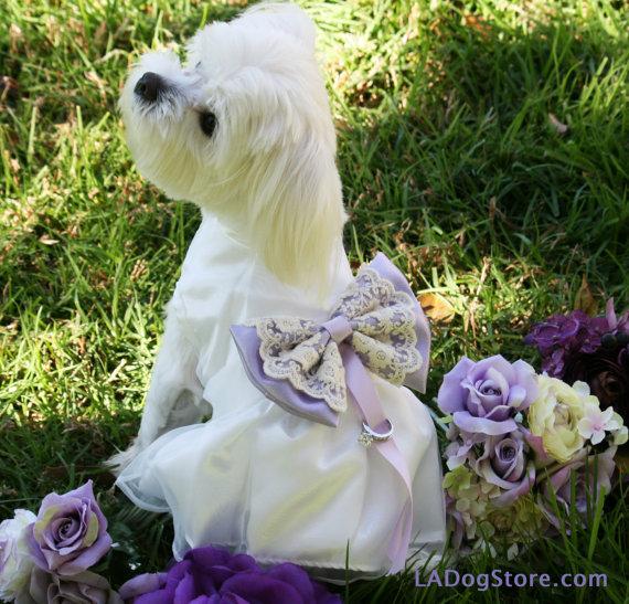 Mariage - Lilac Wedding Dog dress, Dog ring bearer, Lilac pet Wedding accessory, Dog Clothing, Pet lovers, Proposal idea, Dog Lovers