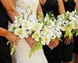 زفاف - Green and creme orchid and rose silk flower bridal bouquet and boutonniere set