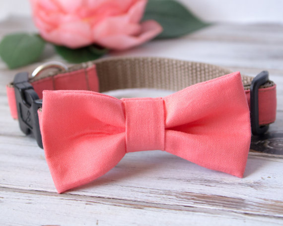 Wedding - Coral Dog Bow Tie With Options For Dog Collar, Dog Leash