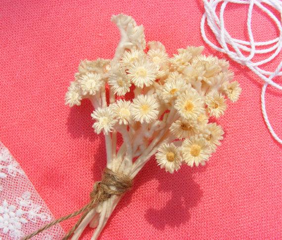 Свадьба - A  bunch of  Dried  Flower / Botanical  dried flower   for  DIY , Dried Flower Arrangement, Home & Wall Decor