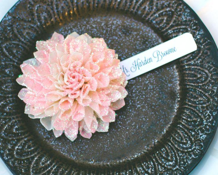 Mariage - Guest Books, Wedding Escort/Place Card Table Ideas