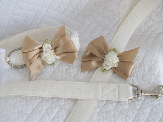 Wedding - Wedding Leash and Collar Dog Collar and Leash Set