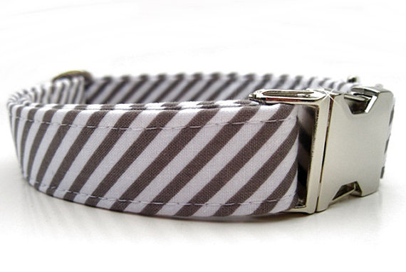 Wedding - Striped Wedding Dog Collar with Nickel Plate Hardware