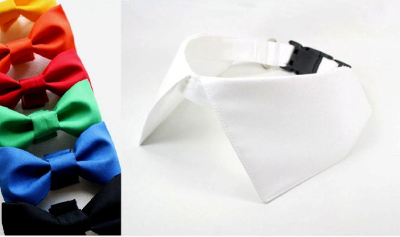 Wedding - Dog Wedding Shirt Collar Bow Tie Set with D Ring for Leash White Black Red Blue Green