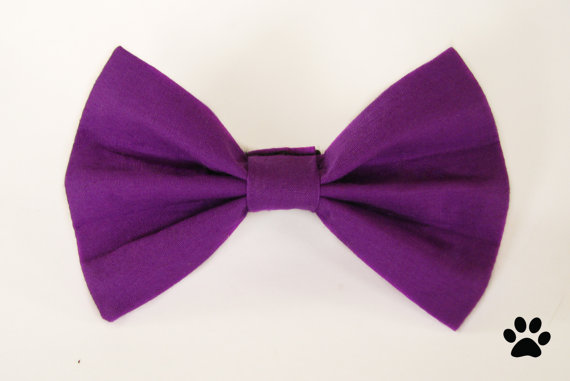 Wedding - Medium / dark purple - cat bow tie, dog bow tie, pet bow tie