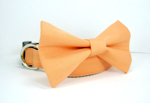 Свадьба - Wedding dog collar-Peach Dog Collars with bow tie set  (Mini,X-Small,Small,Medium ,Large or X-Large Size)- Adjustable