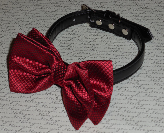 زفاف - Dark Red Bow Tie and White or Black Rhinestone Dog Collar for Wedding