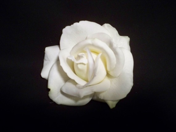 زفاف - Realtouch White  Rose hair clip Fascinator for Wedding Bridal Bridesmaids