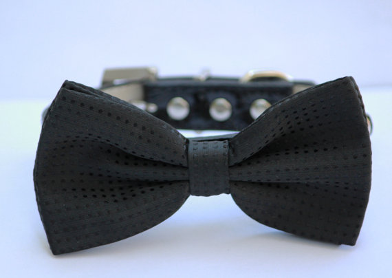 Mariage - Black Wedding Dog collar, Dog Bow Tie - Black Dog Bow tie with high quality leather collar, Black Dog Collar