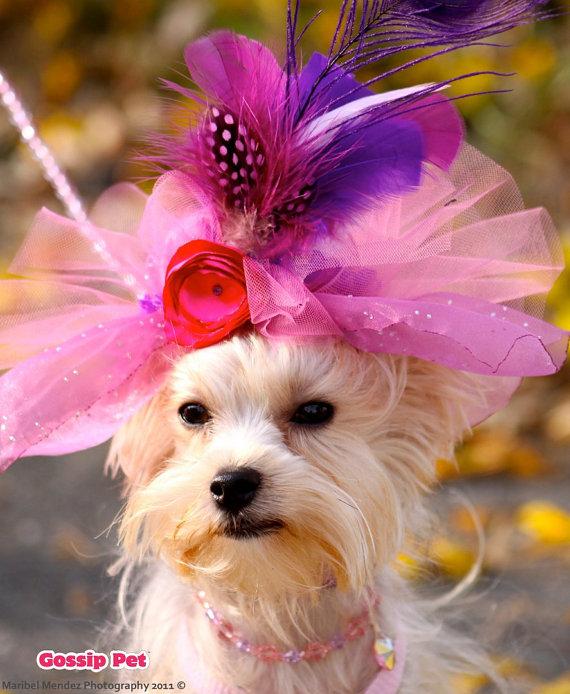 Wedding - Dog Feather Fascinator Hat, Beverly Hills 