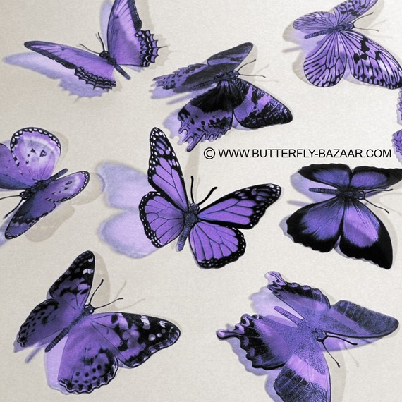 زفاف - 3D Butterflies in Lilac Pastel Light Purple Lavender 12x