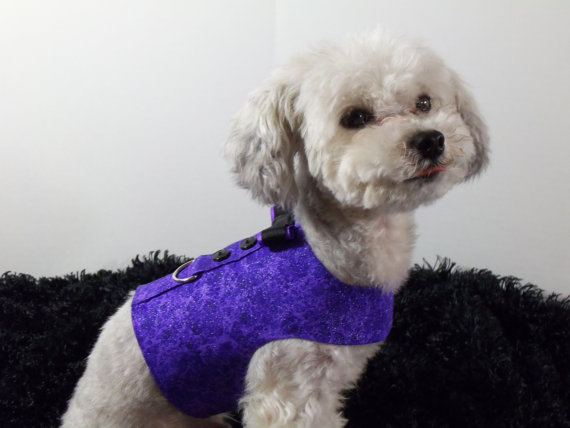 زفاف - Wedding Purple Harness Vest with Bow Tie for Boy Dog