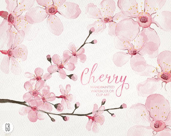 Mariage - Watercolor cherry blossom, cherry tree, sakura, hand painted spring flowers, blossoms, clip art, watercolor invite, diy invitation, card