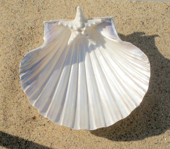 زفاف - Beach Wedding- Pearlized Scallop Ring Bearer Shell accented with small starfish