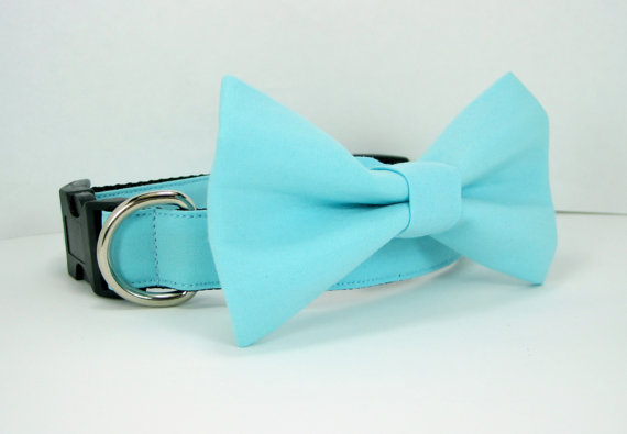 زفاف - Wedding dog collar- Turquoise Blue Dog Collar with bow tie set  (Mini,X-Small,Small,Medium ,Large or X-Large Size)- Adjustable