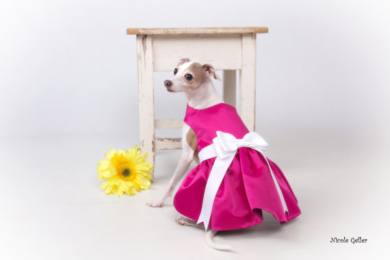 زفاف - FUCHSIA SATIN - Dress for Small Pets, Custom Made to Size