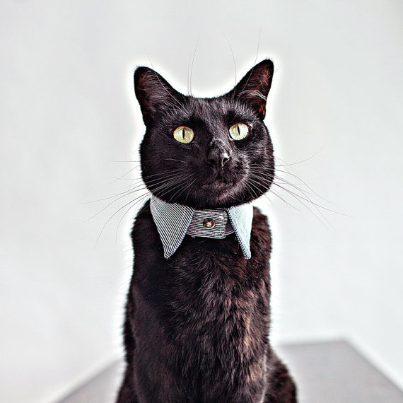 Wedding - Seersucker Pointed Cat Collar