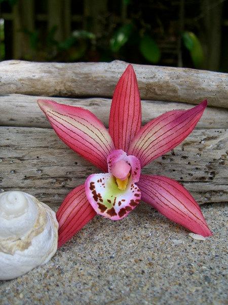 زفاف - Flower Hawaiian Hair Clip-LARGE CORAL ORCHID-Destination Weddings, Beach Weddings, Tropical Paradise, Coral Wedding Colors, Hula Dancers
