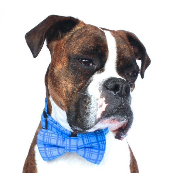 Mariage - Dog Bow Tie, Nautical Dog Bow Tie, Plaid Bow Tie, Doggie Bow Tie