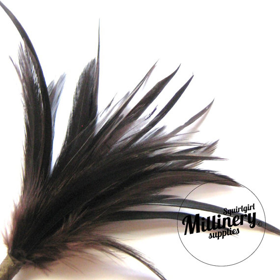 Hochzeit - Goose Biot & Hackle Feather Hat Mount Trim for Fascinators, Wedding Bouquets and Hat Making Brown