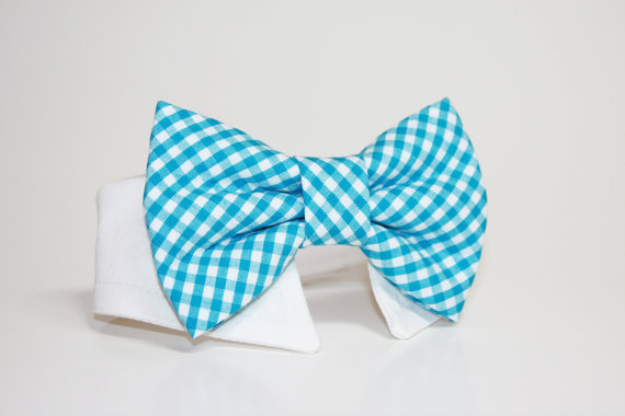 زفاف - Bright Turquoise Gingham Dog Bow Tie and Shirt Collar-  Wedding Dog Tie- Shirt Collar