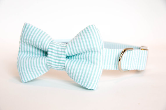 Hochzeit - Seersucker Dog Bow Tie Collar - Your Choice of Color