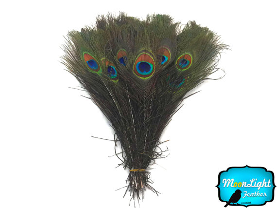 زفاف - Wholesale Peacock Feathers, 100 Pieces - NATURAL Peacock Tail Eye Feathers (bulk) : 1314
