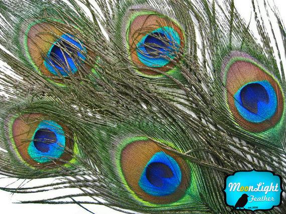 Mariage - Peacock Tail Feathers, 10 Pieces - SMALL NATURAL Peacock Tail Eye Feathers : 353