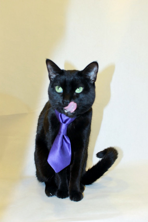 زفاف - Cat Clothes Custom Satin Neck Tie Cat Collar pet clothing cat clothing pet clothes