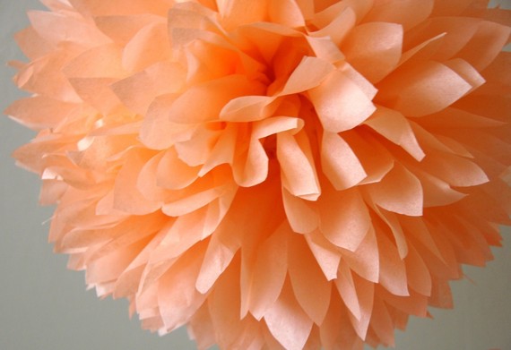 Wedding - Peach Tissue Pom .. Birthday / Wedding Decoration
