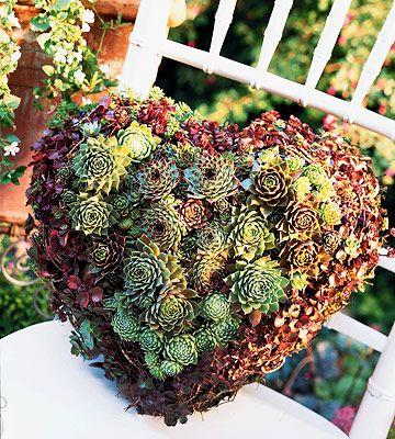Hochzeit - Plant A Living Wreath